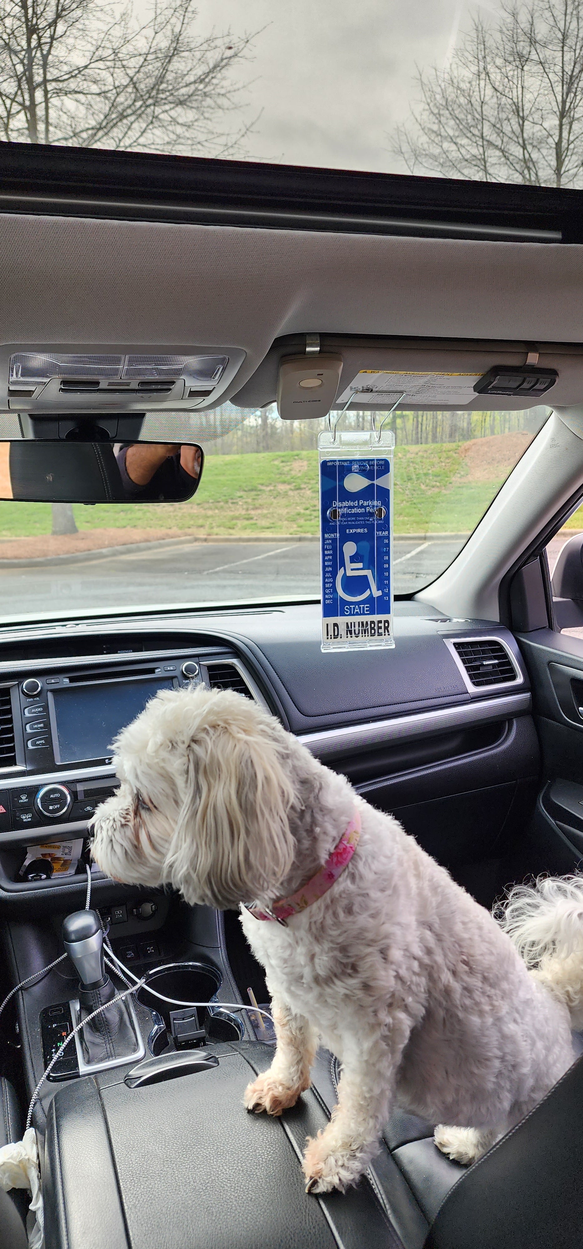 Universal Handicap Placard for Disabled Person. Visortag Vertical by JL Safety. Easy to display and fold away